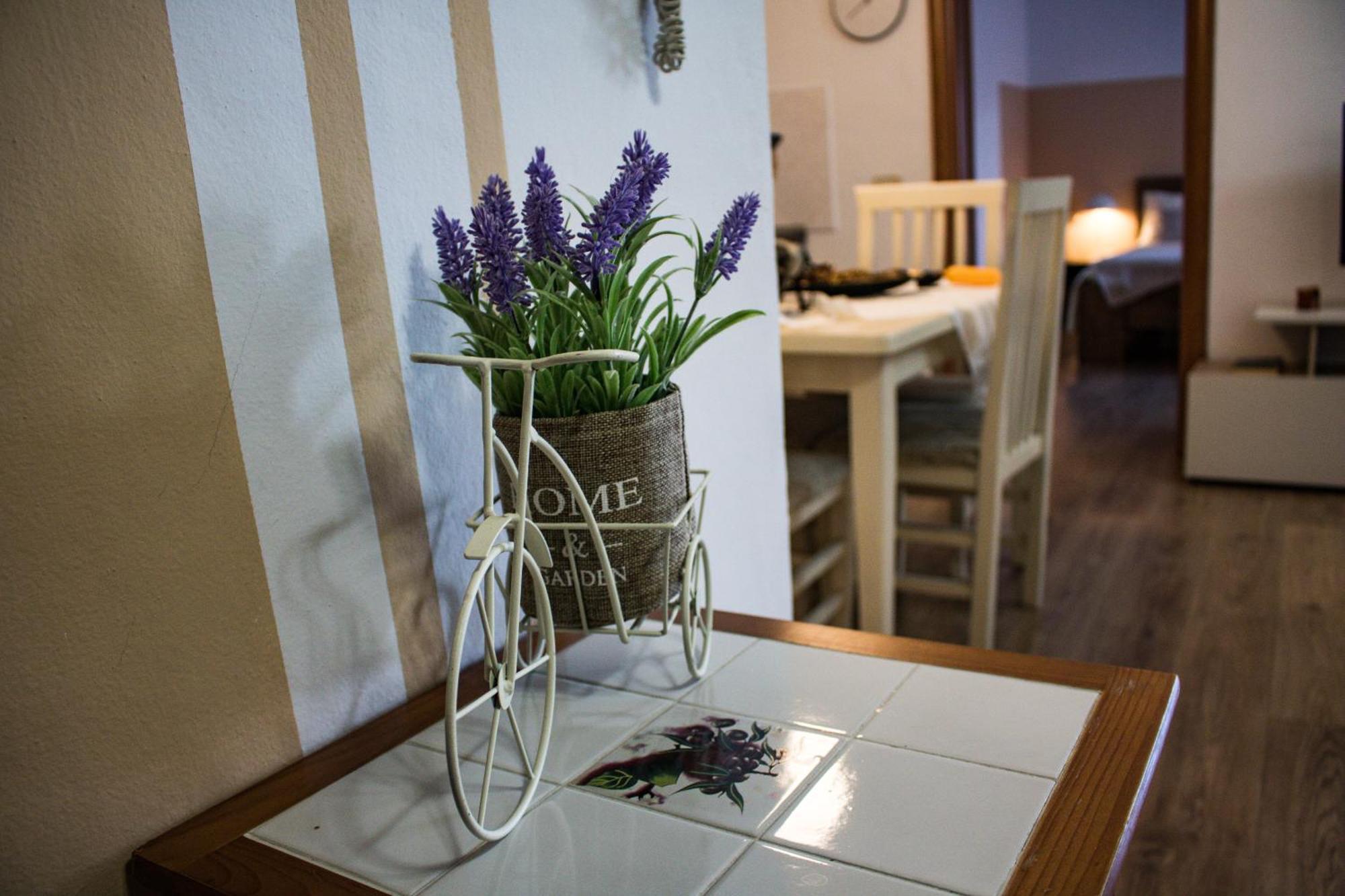 Angie's Perfect Location Flat - Walk To Sights * Tirana